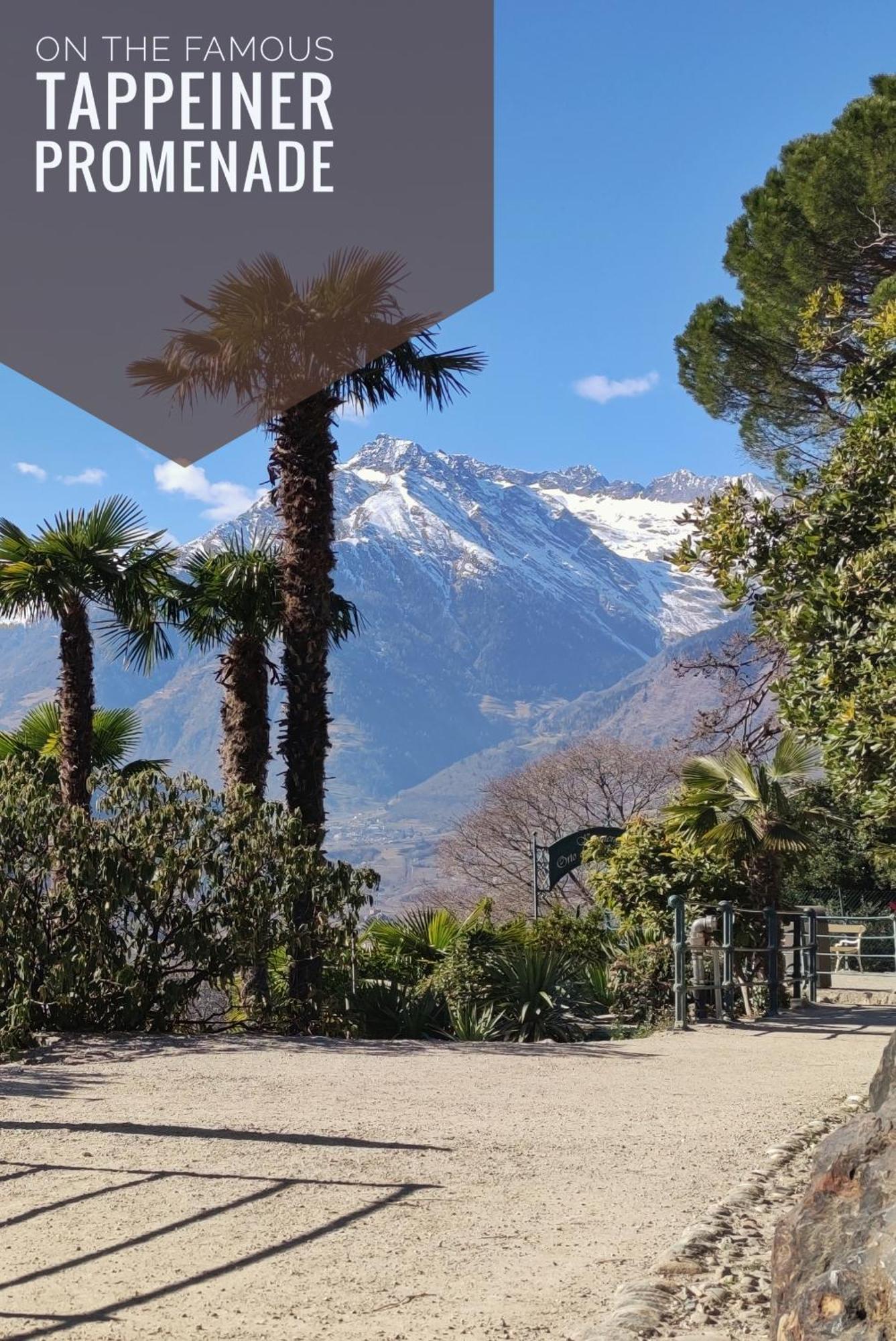 La Libella - #5 - La Terrazza Mit Privatem Pool Appartamento *